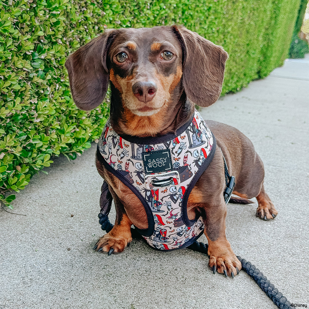 Reversible Harness - The Nightmare Before Christmas™