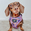 Dog Adjustable Harness - Willy Wonka & The Chocolate Factory™