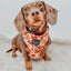 Dog Adjustable Harness - Pie There!