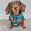 Dog Adjustable Harness - SpongeBob SquarePants™ and Friends