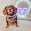 Dog Collar - Haunt Mess