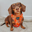 Dog Adjustable Harness - Pupkin Donuts