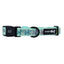 Dog Collar - Pup Pup Hooray