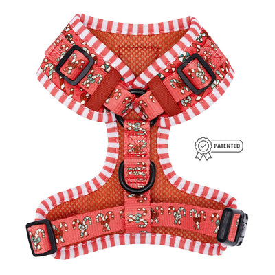 Dog Adjustable Harness - Puppermint Twist