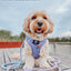 Dog Adjustable Harness - Nickelodeon Rugrats™
