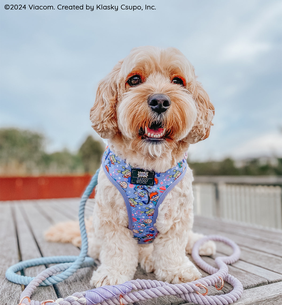 Dog Adjustable Harness - Nickelodeon Rugrats™