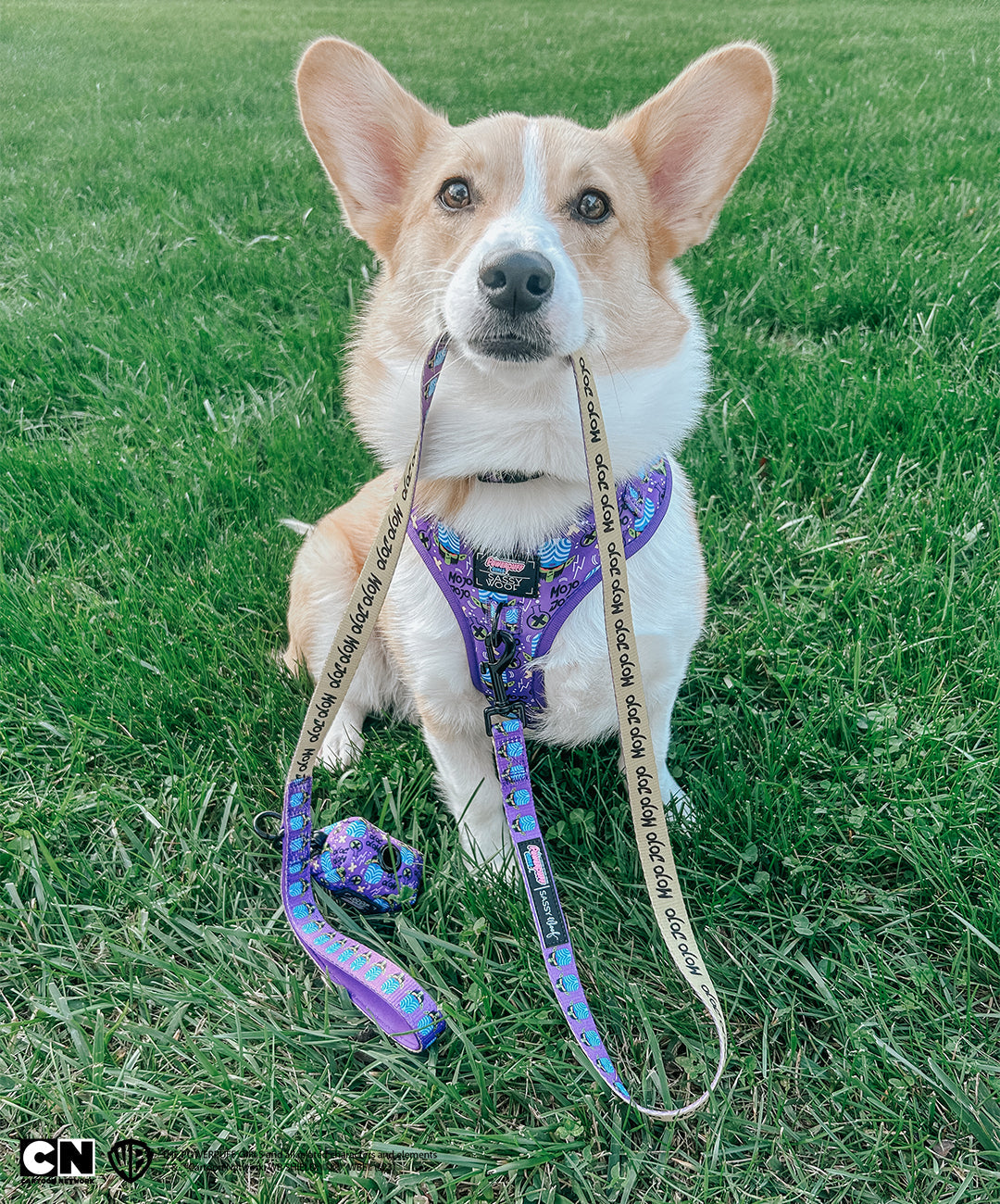 Dog Leash - Mojo Jojo™