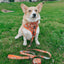 Dog Leash - Garfield™
