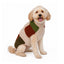 Patchwork Wool Dog Sweater