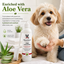 Paw Sani-Scrub - Gallon - Paw and Nail Cleanser
