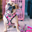 Fairytail Leash Kit
