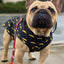 Pawgwarts Poncho