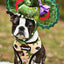 Jurassic Bark Reversible Harness