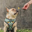 Muddy Paws Reversible Harness