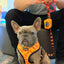 Taco Tuesday Reversible Harness
