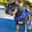 Red, White & Bark Leash Kit