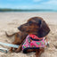 Slumber Pawty Reversible Harness