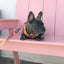 Snack Shack Reversible Harness