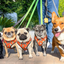 Succa For You Reversible Harness