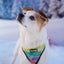 Tie-Dye For Leash Kit