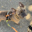 Wild Thing Free-Fit Harness