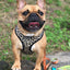 Wild Thing Leash Kit