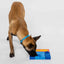Pawzler Set - Beginner