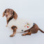 Dog Reversible Sherpa Jacket - Peanuts™ Harvest