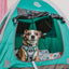 Dog Step-in Harness - Peanuts™ Beagle Scouts