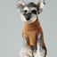 Pet Sweater Vest - Toffee Orange