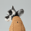 Pet Sweater Vest - Toffee Orange
