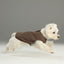 CHILL VEST SHIRT - MOCHA