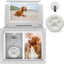 Pet Memorial Urn Keepsake Box with Photo Frame, Paw Print Kit & Photo Album