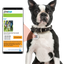 PetHub QR ID Pet Tag - KIss Me I'm Rescued