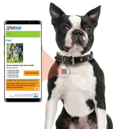 PetHub QR Pet ID Tag – Get Me Home Club