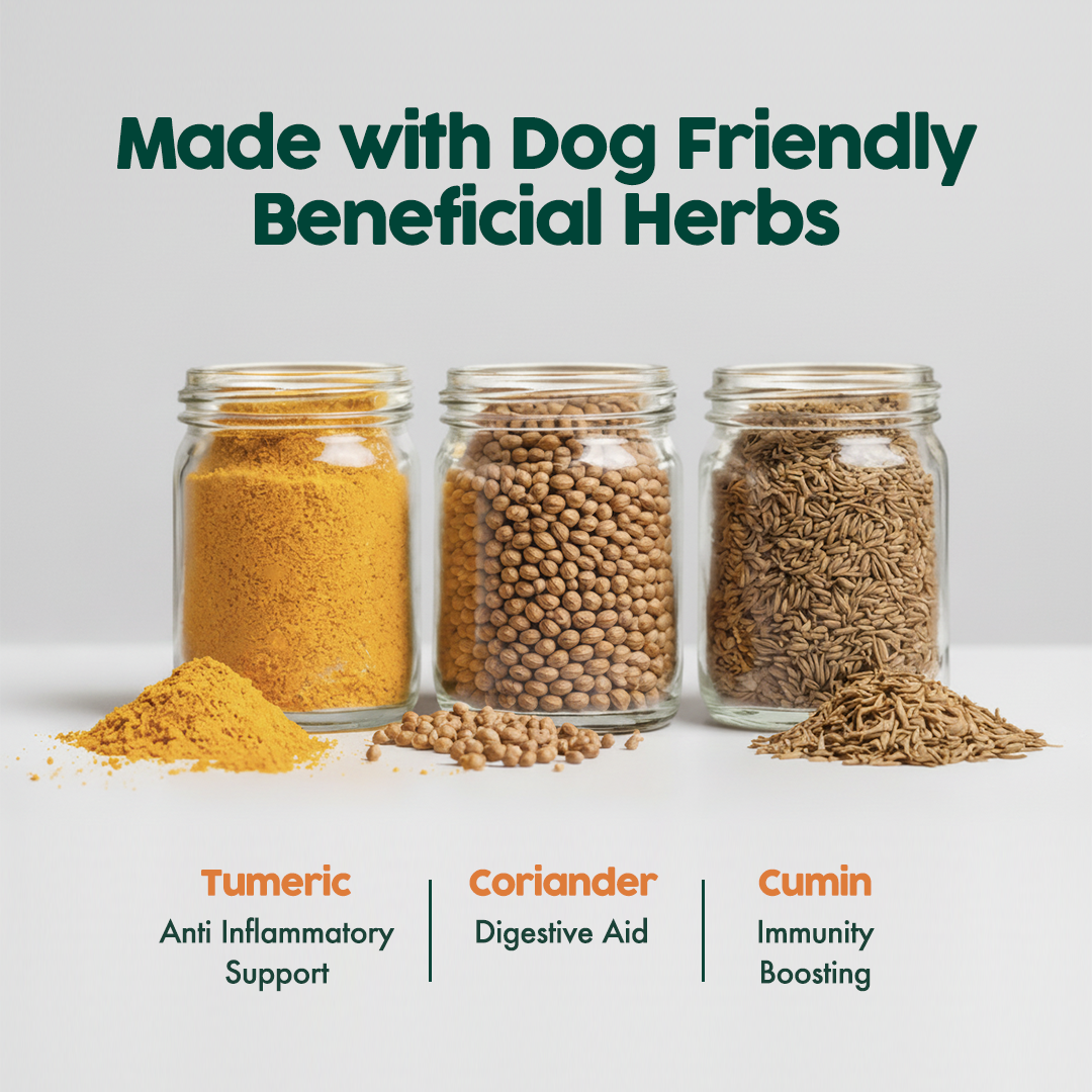 Pet Relish® Indian Flavor – Liquid Dog Food Topper