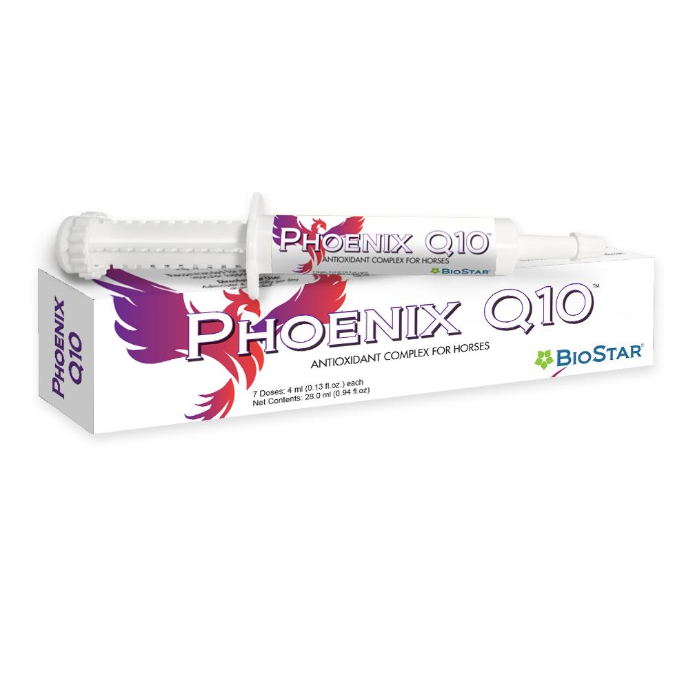 Phoenix Q10
