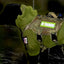 REFLECTIVE HIGH VISIBILITY NEON Tag Patch