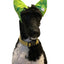 4-ALL PETS SHOWER / EAR / SUN CAP!