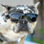 W1 Eye Defender Goggles