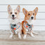 Dog Adjustable Harness - Harry Potter™ Herbology