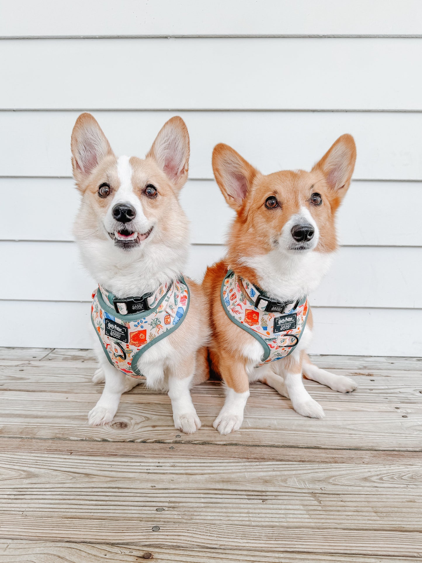 Dog Adjustable Harness - Harry Potter™ Herbology