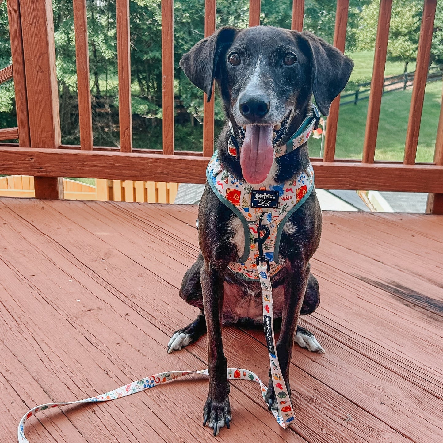 Dog Adjustable Harness - Harry Potter™ Herbology