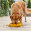 Sunflower Softie eTray Slow Feeder Dog Bowl | Soft Shallow Lick Mat | Yellow & Purple | USA Made
