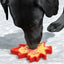 Canadian Maple Leaf Nylon Dog Chew Toy - Indestructible & USA Made