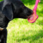 eStick Hand-Held Dog Enrichment Toy - Interactive Lick Stick | USA Made