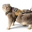 K9R - M1 Lightspeed Harness for Cats