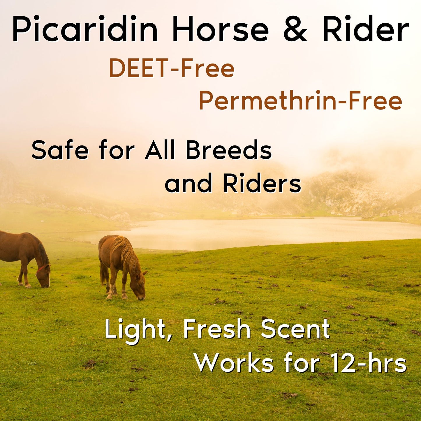 Horse & Rider Fly & Insect Repellent Continuous Spray