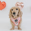 Dog Reversible Harness - Dolce Rose