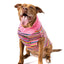 Pink Multi Dog Sweater